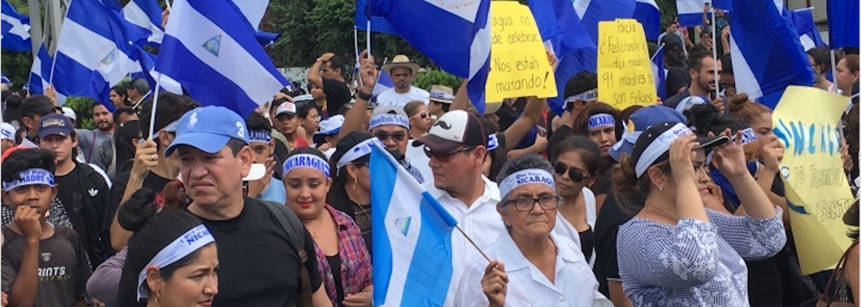 Organizations urge the General Assembly of the OAS to Recognize the