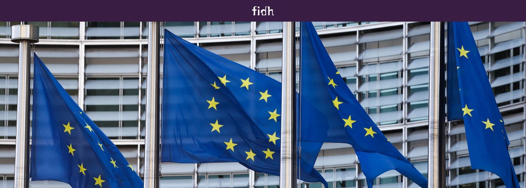 the article 48 6 teu procedure