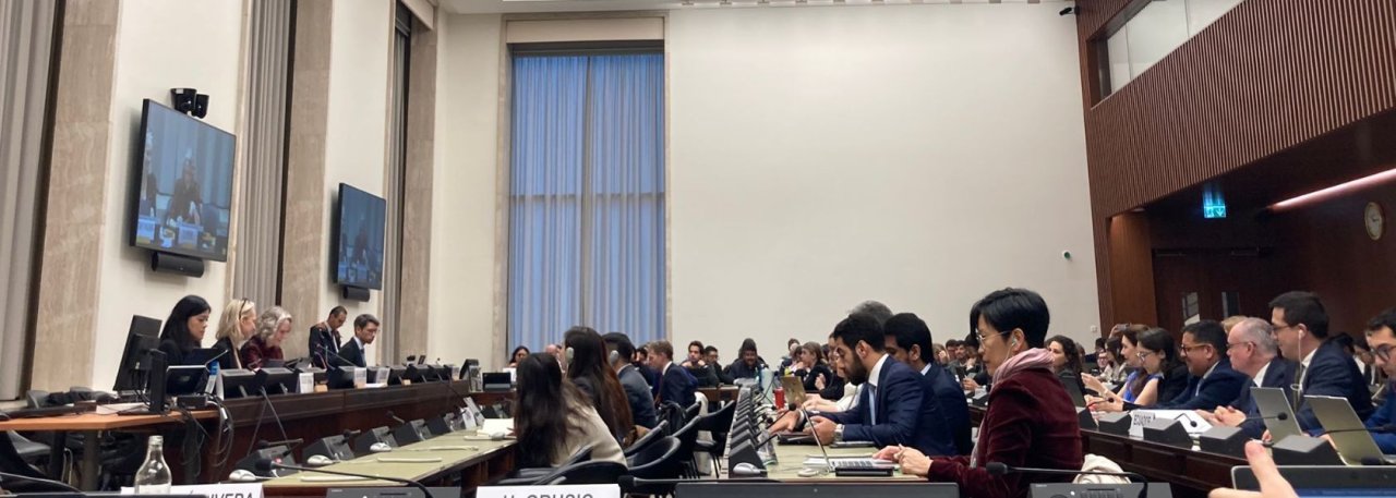 UN Binding Treaty on Business and Human Rights: a call for access to justice against corporate abuses at the 11th negotiation session