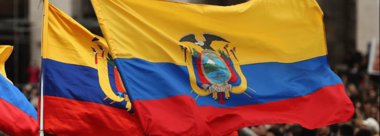 Ecuador: International organisations condemn the repression of social protest and call on the international community to remain vigilant