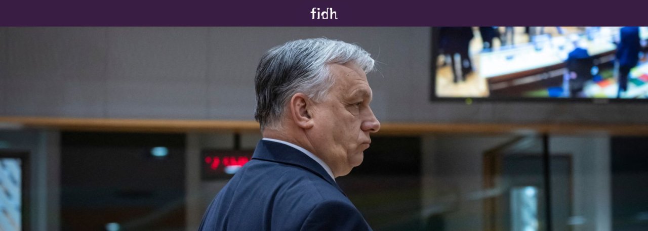 mali_sitefidh_1_-e9949.jpg?1718975944