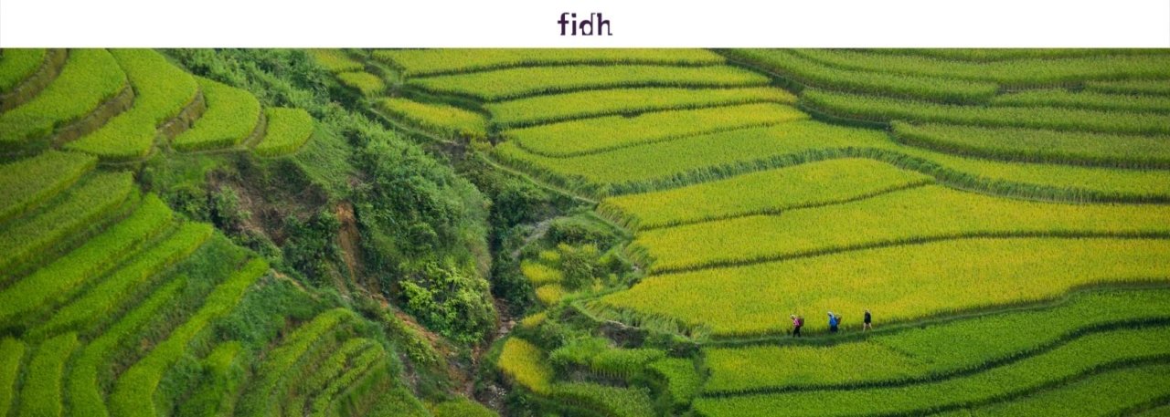 vietnam_generic_site_doan_tuan_unsplash-