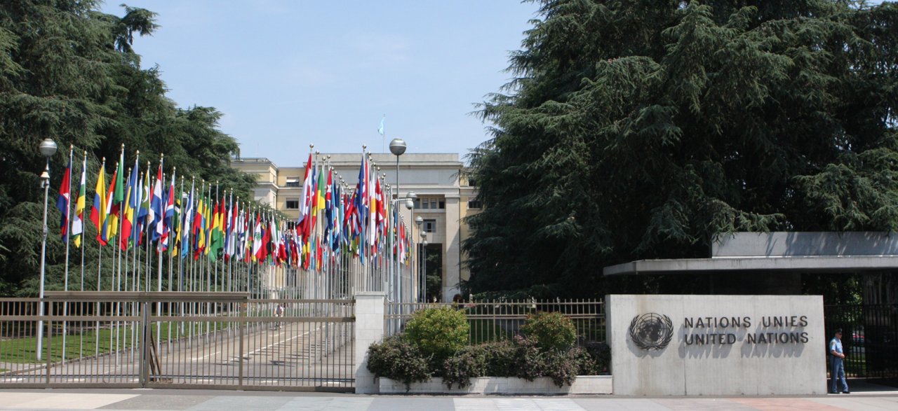Suspend Saudi Arabia from the UN Human Rights Council